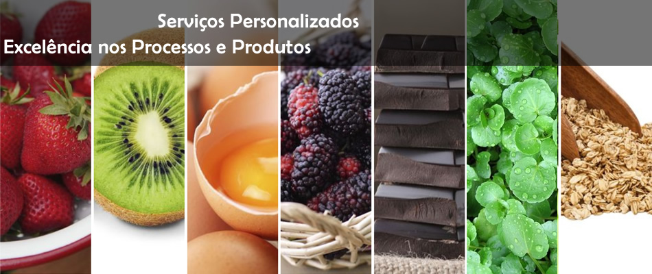 Serviços Personalizados   Excelência nos Processos e Produtos